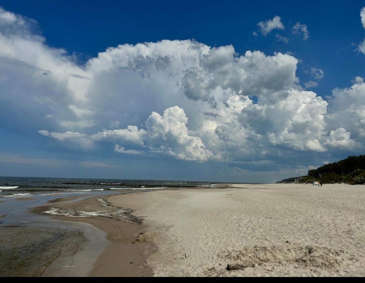 Domki Bursztyn Mrzeżyno Exteriör bild